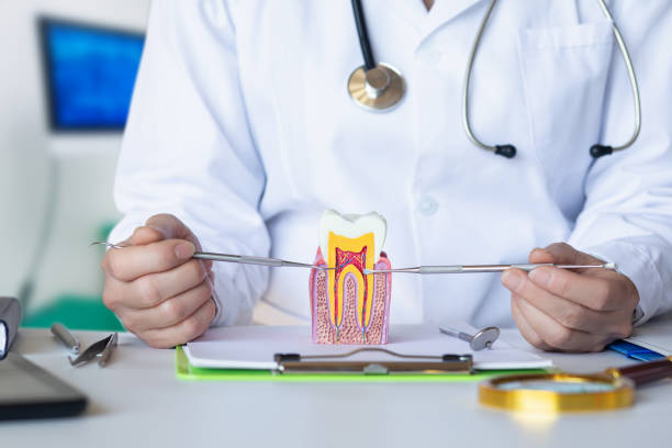 Best Emergency Treatment for Dental Infections or Abscesses in Piedmont, SD